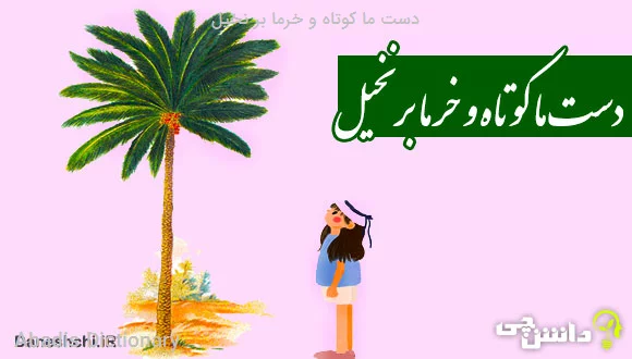 دست ما کوتاه و خرما بر نخیل
